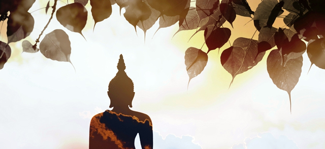 The Bodhi Tree