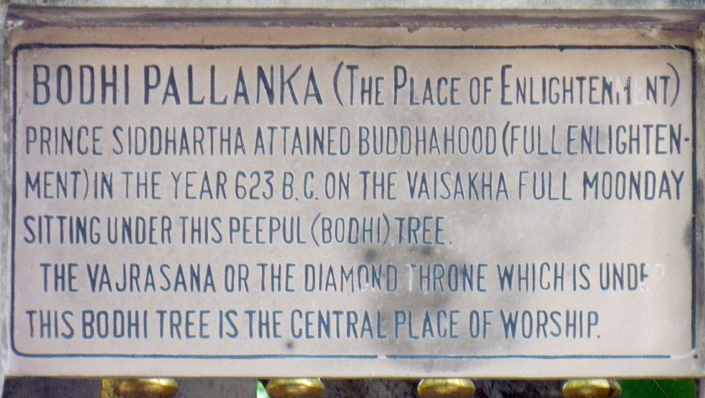 The Bodhi Tree